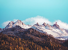 世俱杯直播-佩雷拉：尽力弥补奥斯卡空缺 相信第二回合能扳平